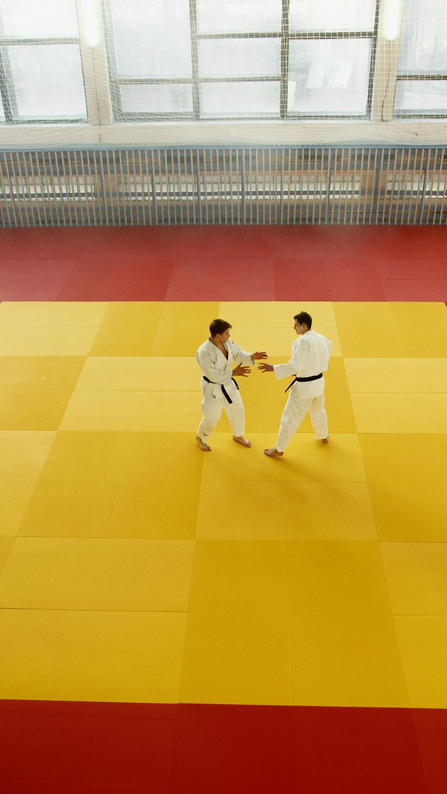 Photo du tatami